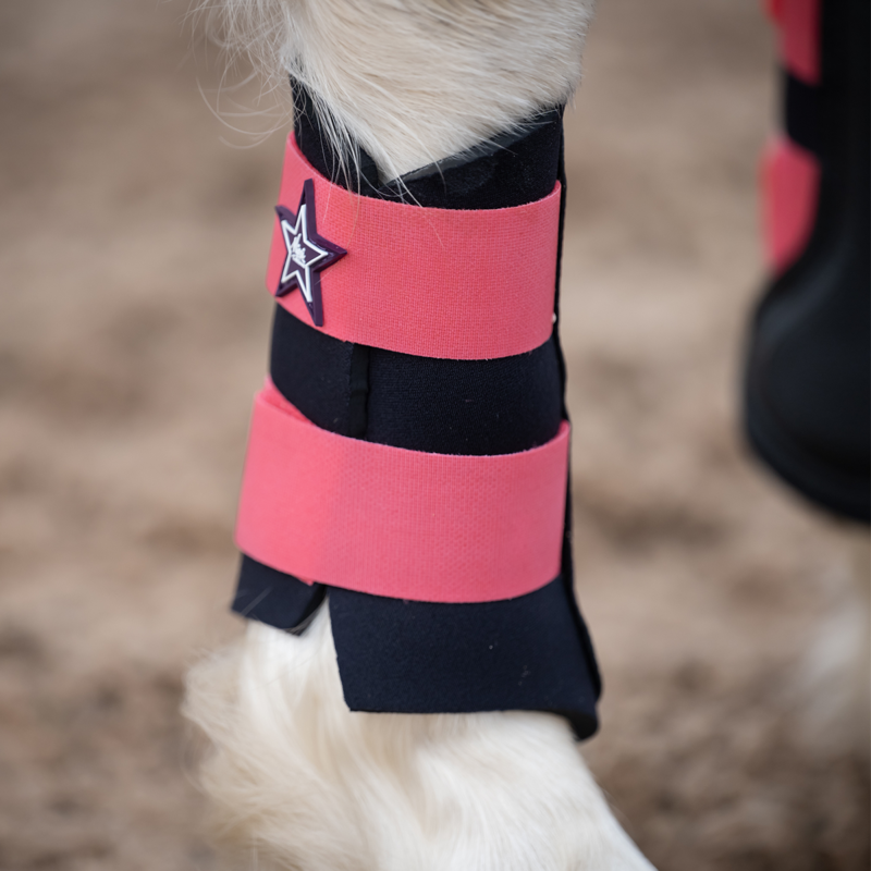 Mini LeMieux Grafter Brushing Boots - Papaya -5