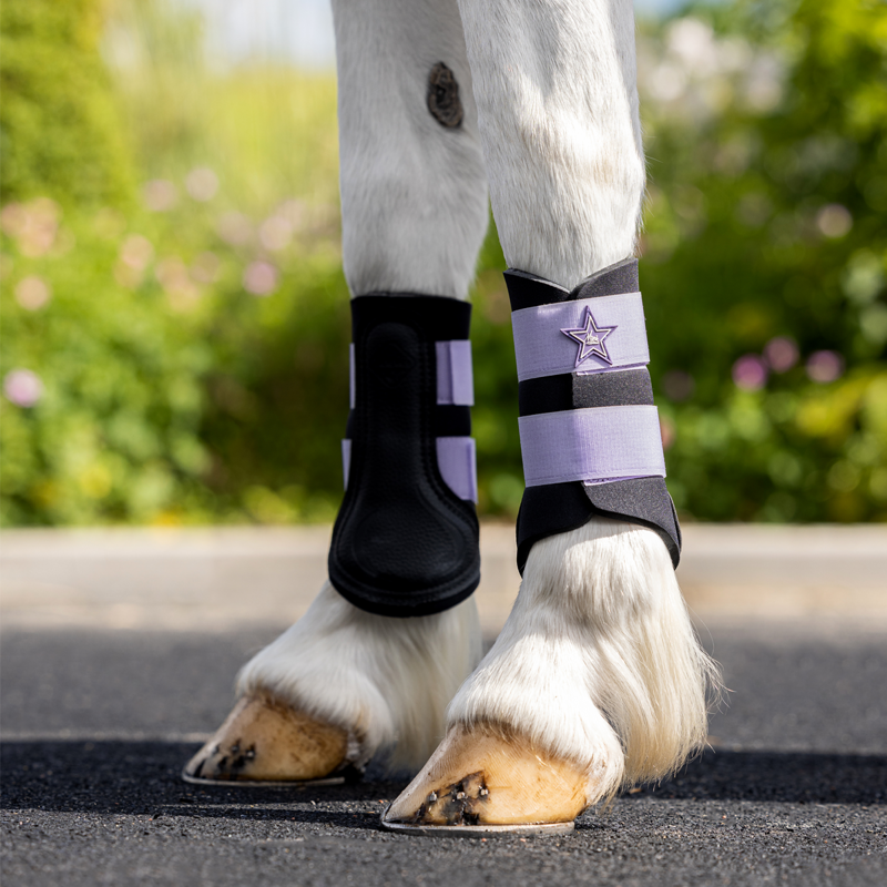 Mini LeMieux Grafter Brushing Boots - Wisteria-4