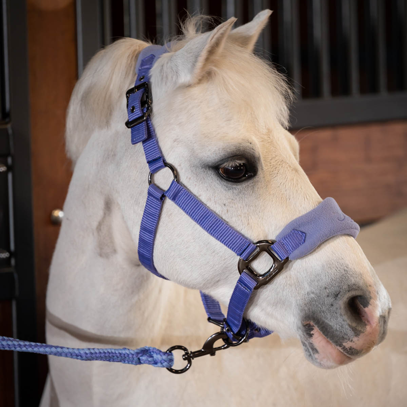Mini LeMieux Vogue Fleece Headcollar and Rope - Bluebell-4