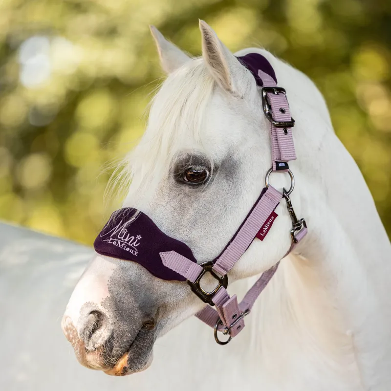 Mini LeMieux Vogue Headcollar and Leadrope - Fig-3