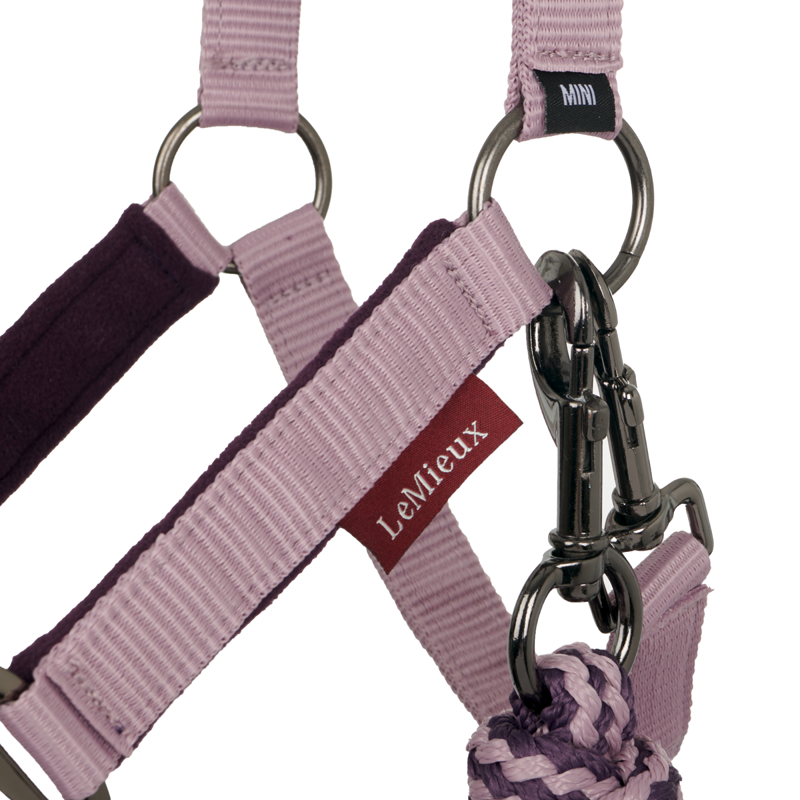 Mini LeMieux Vogue Headcollar and Leadrope - Fig-2