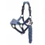Mini LeMieux Vogue Headcollar and Leadrope - Indigo