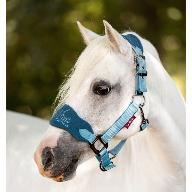 Mini LeMieux Vogue Headcollar and Leadrope - Marine-3