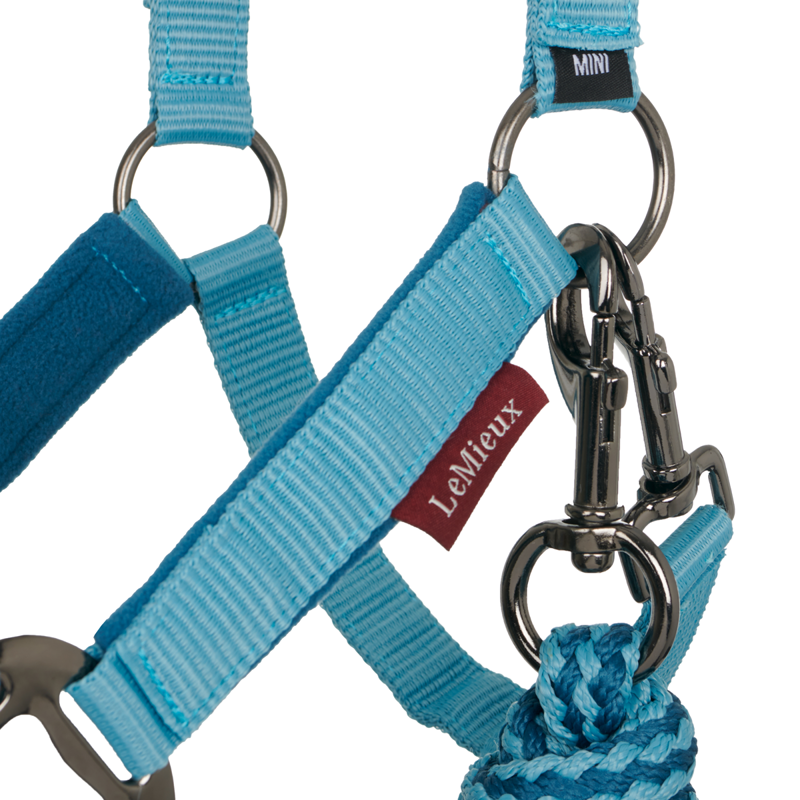 Mini LeMieux Vogue Headcollar and Leadrope - Marine-2