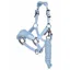 Mini LeMieux Vogue Headcollar and Leadrope - Mist