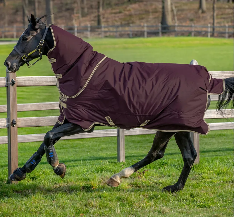 Horseware Amigo Hero Ripstop Plus 100g Turnout Rug - Fig/Navy/Tan