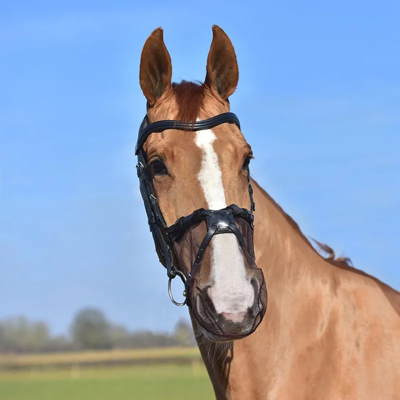 Equilibrium Net Relief Muzzle Net for Grackle Bridles - Black