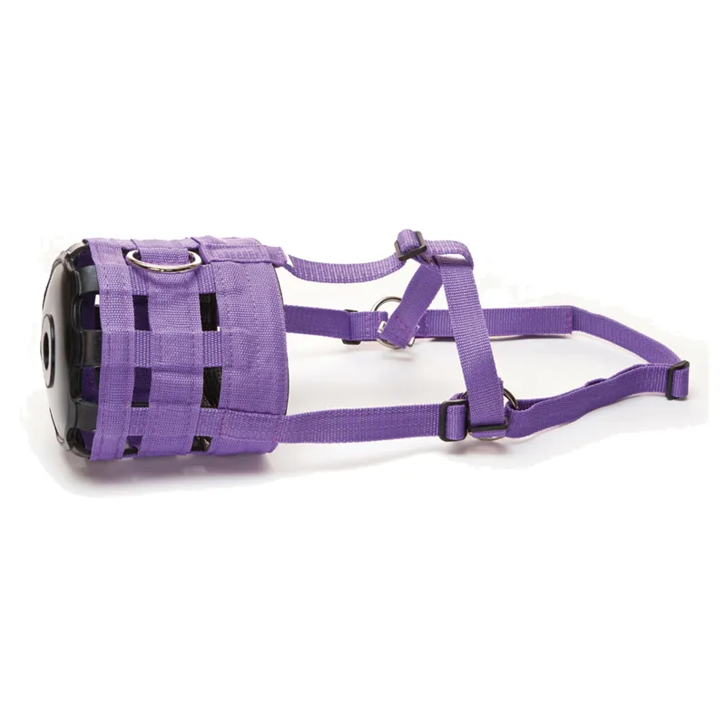 Hy Grazing Muzzle - Purple