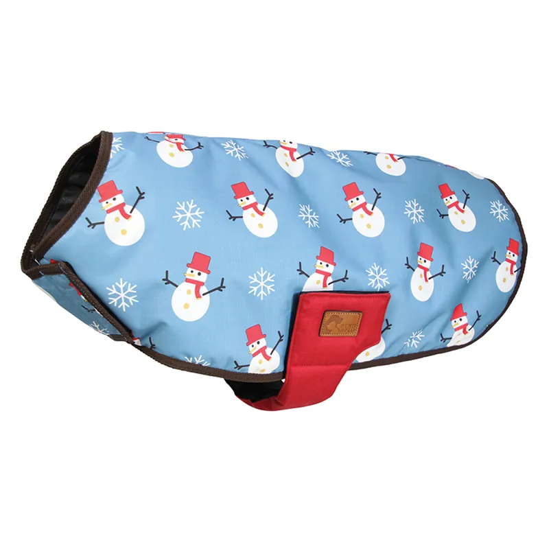 Benji And Flo Snowy The Snowman Dog Rug Coat 