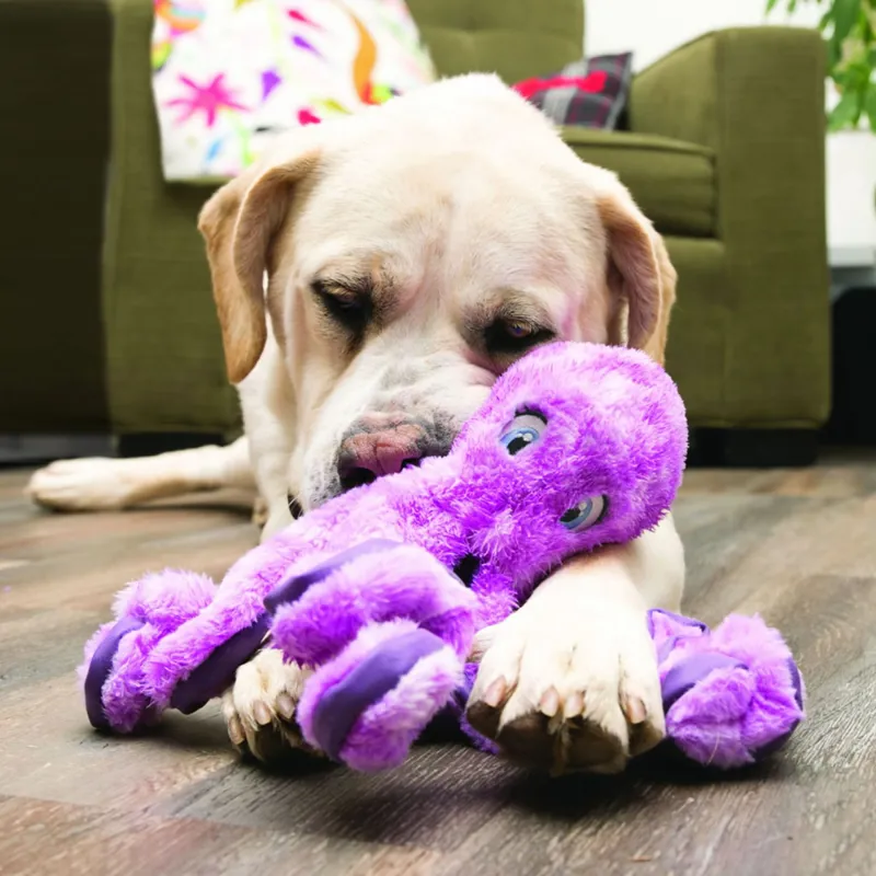 KONG SoftSeas Octopus Dog Toy - Large