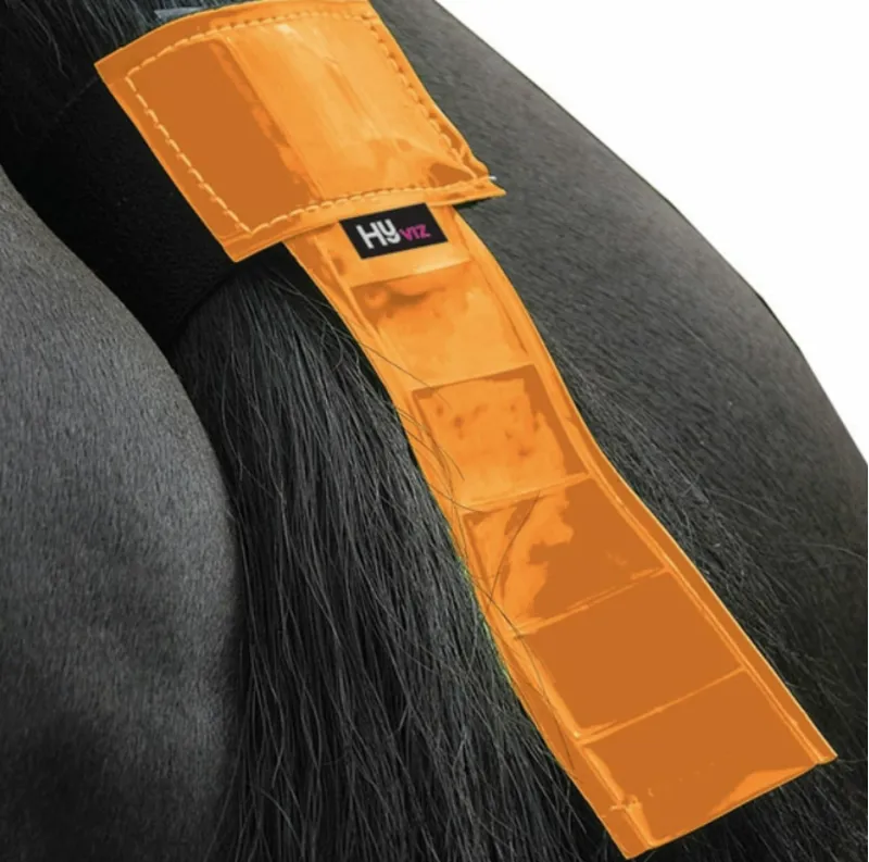 Hy Viz Tail Band in Orange