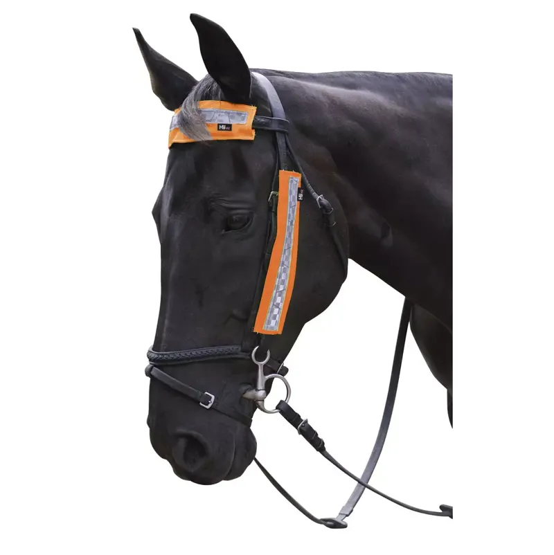 Hy Viz 3-piece Bridle Set in Orange