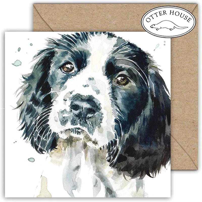 Puppy Dog Eyes Greetings Card - Springer Spaniel
