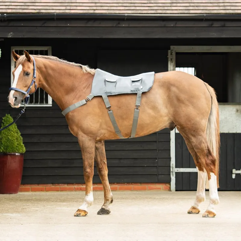 Special Offer Equilibrium Massage Pad - Standard with FREE Massage Mitt Hotspot-1