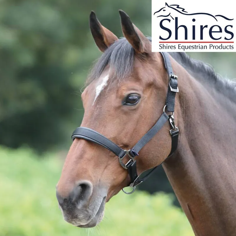 Shires Deluxe Padded Headcollar - Black