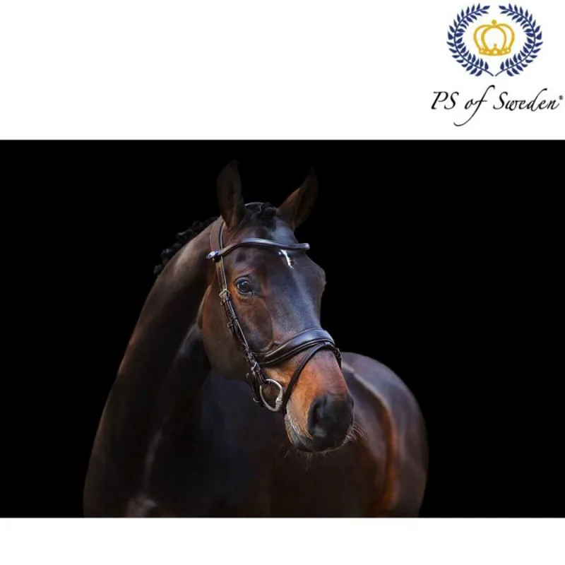 PS Of Sweden Paladin Snaffle Bridle - Brown-1