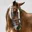 PS Of Sweden Paris Bridle - Brown