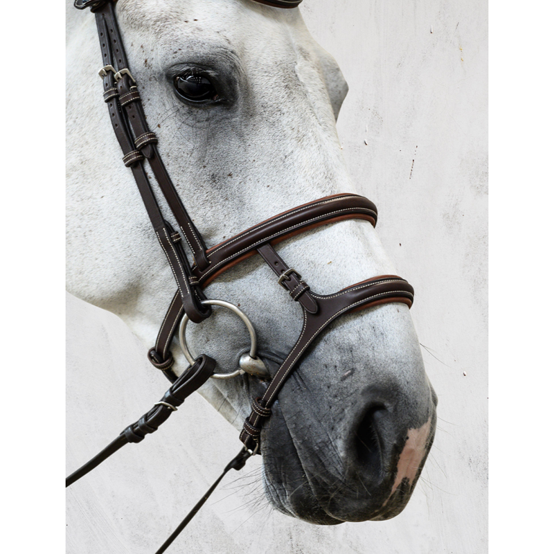 PS Of Sweden Paris Bridle - Brown-2