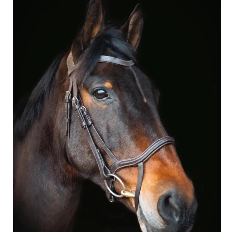 Cameo Performance Bridle