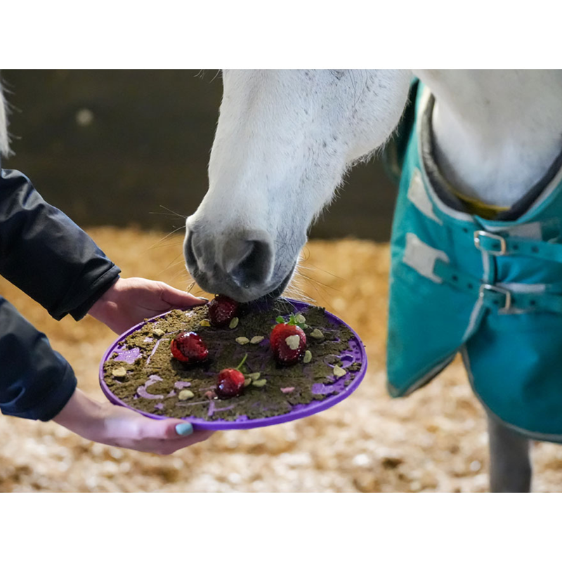 Likit Graze Paste - 1.2kg-11