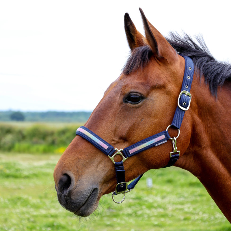 Hy Equestrian Mystic Head Collar - Navy/Rainbow Dust-1