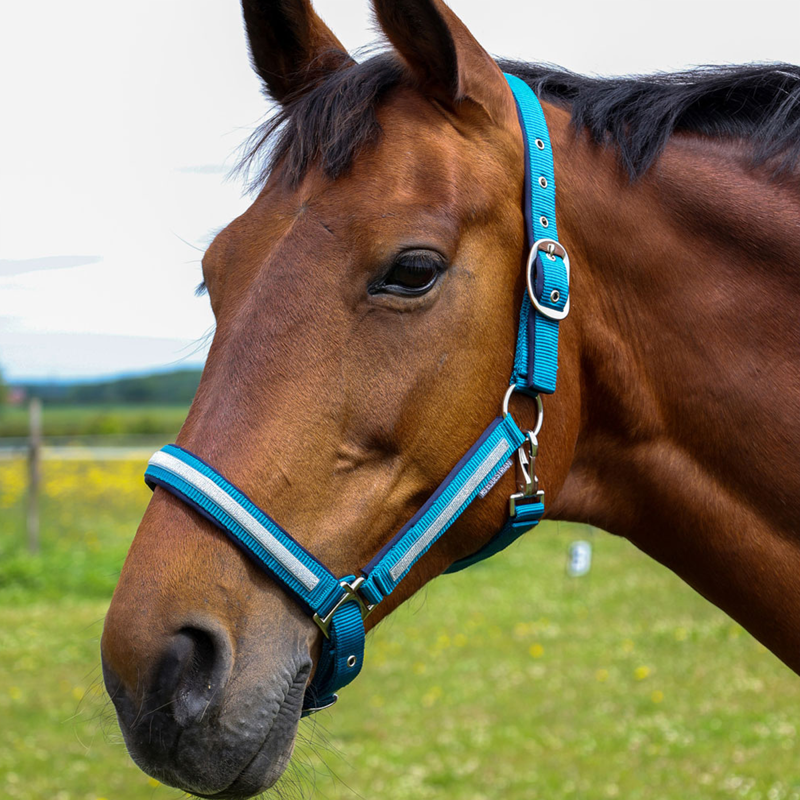 Hy Equestrian Mystic Head Collar - Teal/Silver Dust-1