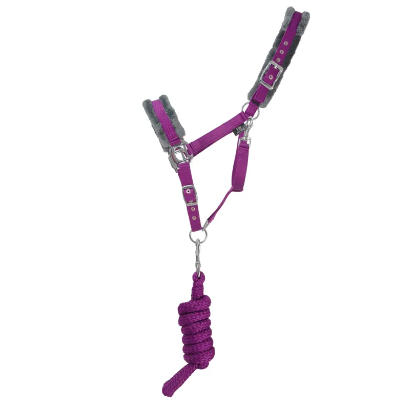 Hy Sport Active Head Collar and Lead Rope - Amethyst Purple