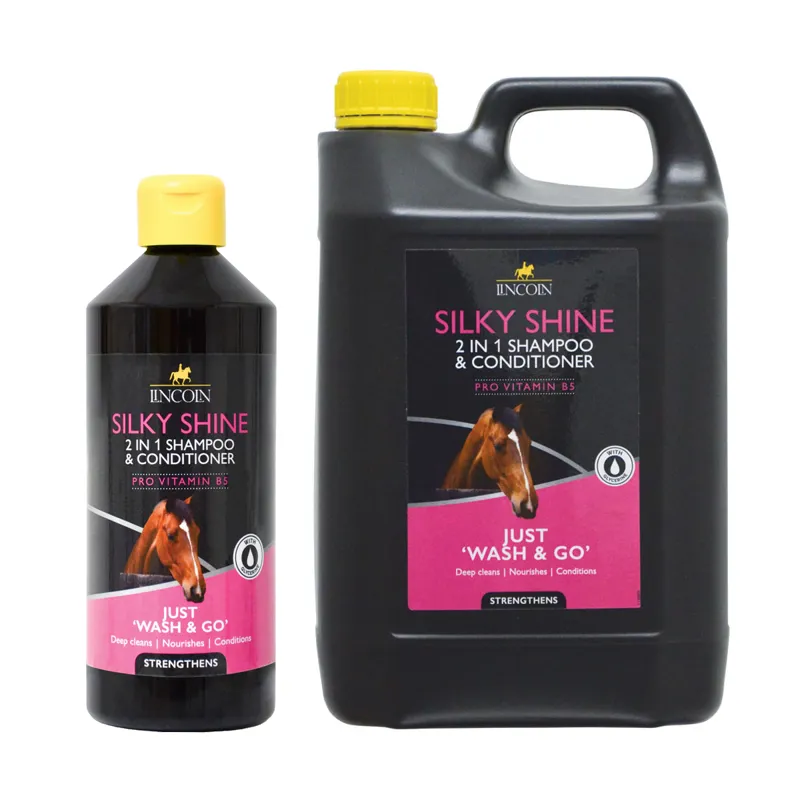 Lincoln Silky Shine 2 In 1 Shampoo And Conditioner