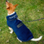 Horseware Signature Dog Fleece - Navy - PRE ORDER