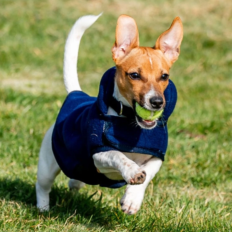 Horseware Signature Dog Fleece - Navy -6