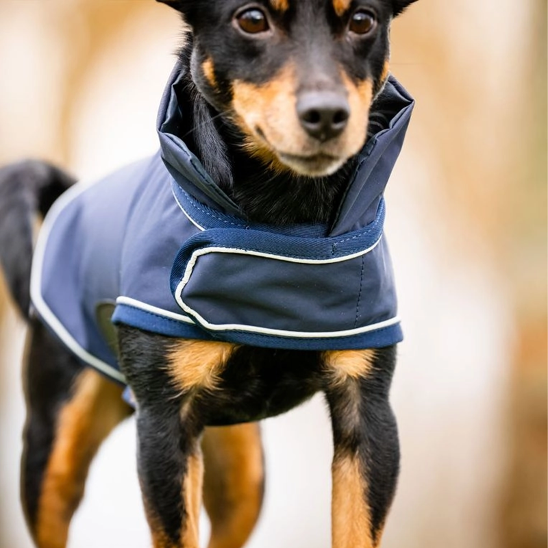 Horseware Signature Dog Rain Coat - No Fill - Navy-1