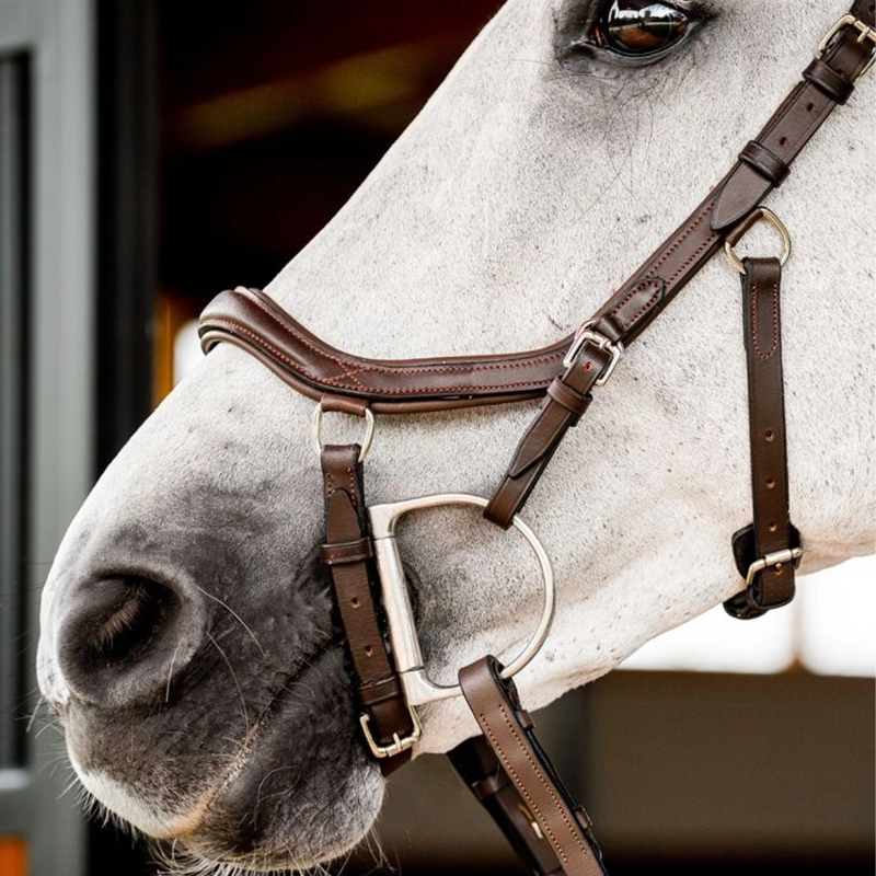 Horseware Micklem 2 Deluxe Competition Bridle With Reins - Dark Havana-4