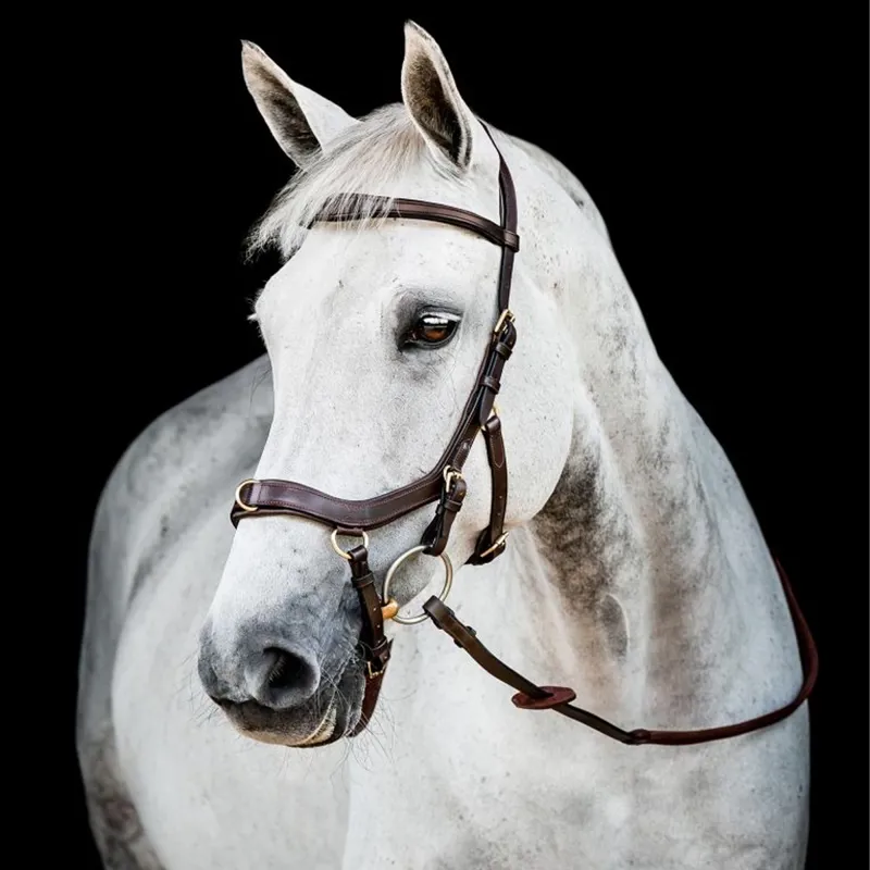 Horseware Micklem 2 Multi Bridle - Dark Havana