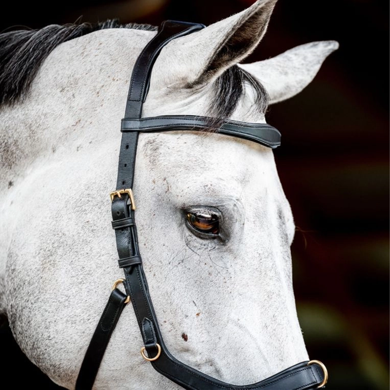 Horseware Micklem 2 Multi Bridle - Black-3