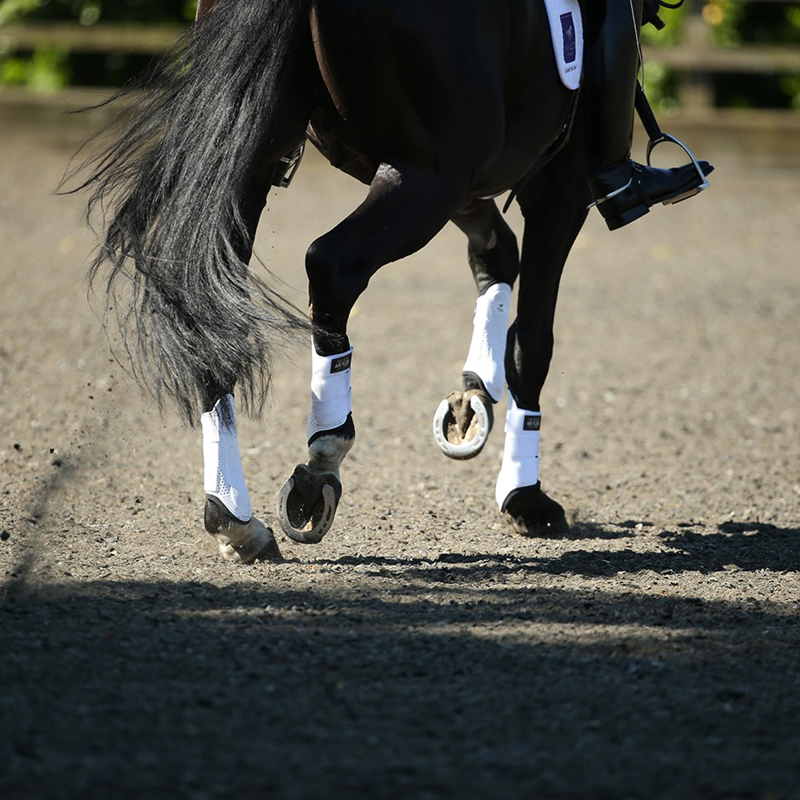 KM Elite Pro Mesh Hybrid Brushing Boot - White/Black-3