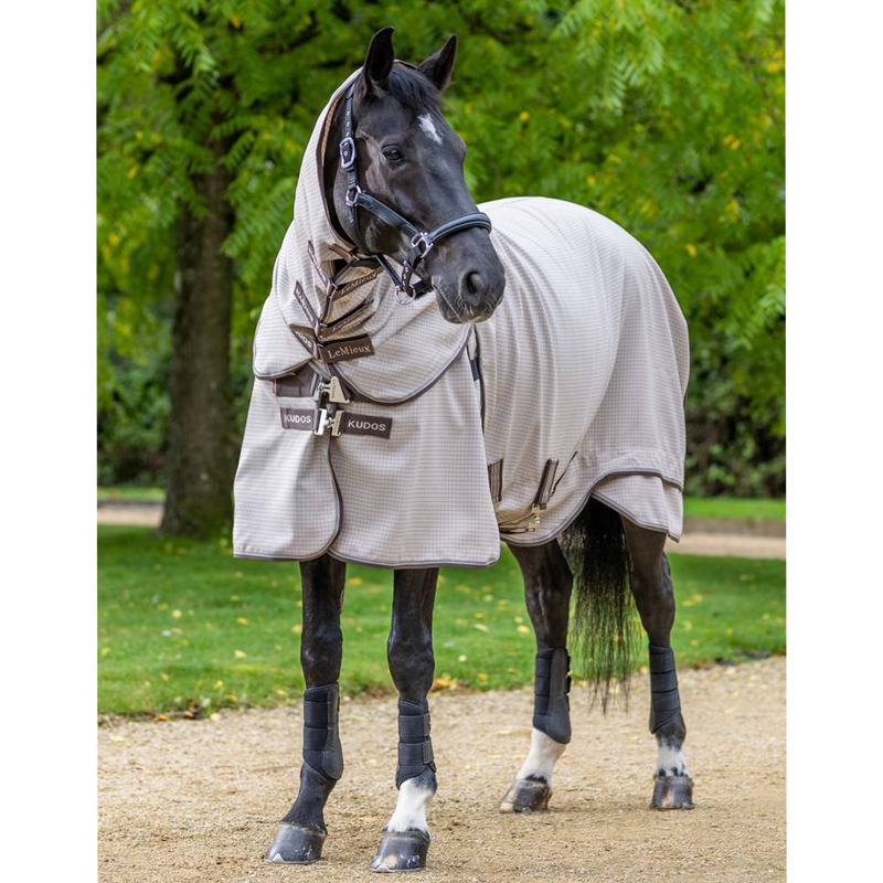 LeMieux Kudos Field Rug - Stone-1