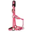 KM Elite Padded Headcollar - Pink