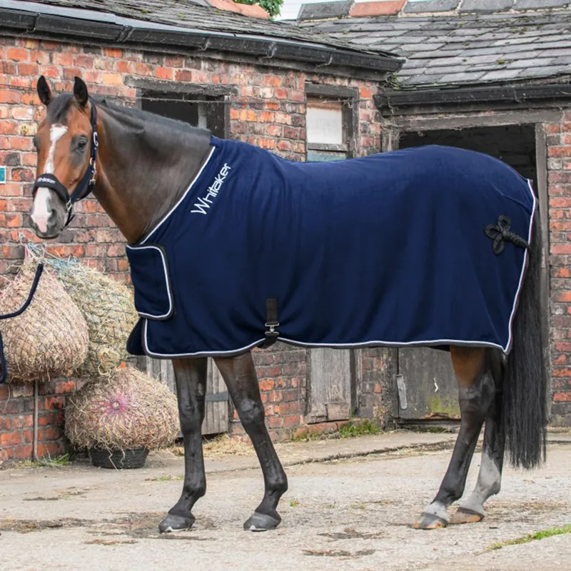 John Whitaker Club Show Rug - Navy