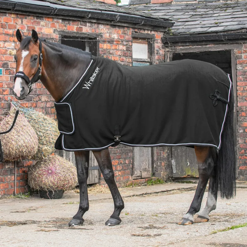 John Whitaker Club Show Rug - Black