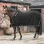 John Whitaker Club Show Rug - Black