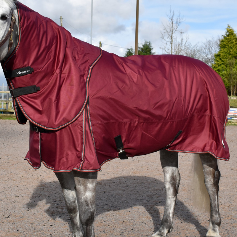 John Whitaker James 200g Turnout Rug - Burgundy-1