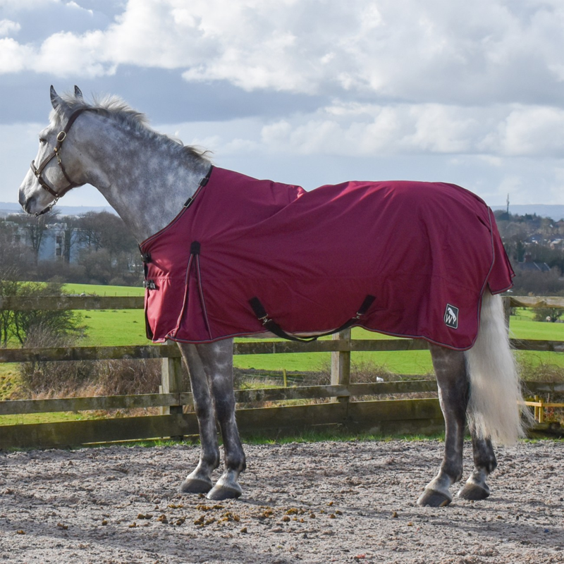 John Whitaker James 200g Turnout Rug - Burgundy-2