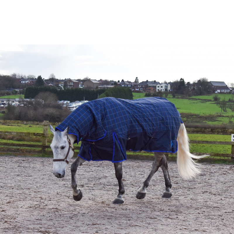 John Whitaker Noah 200g Combo Turnout Rug - Navy/Blue-1