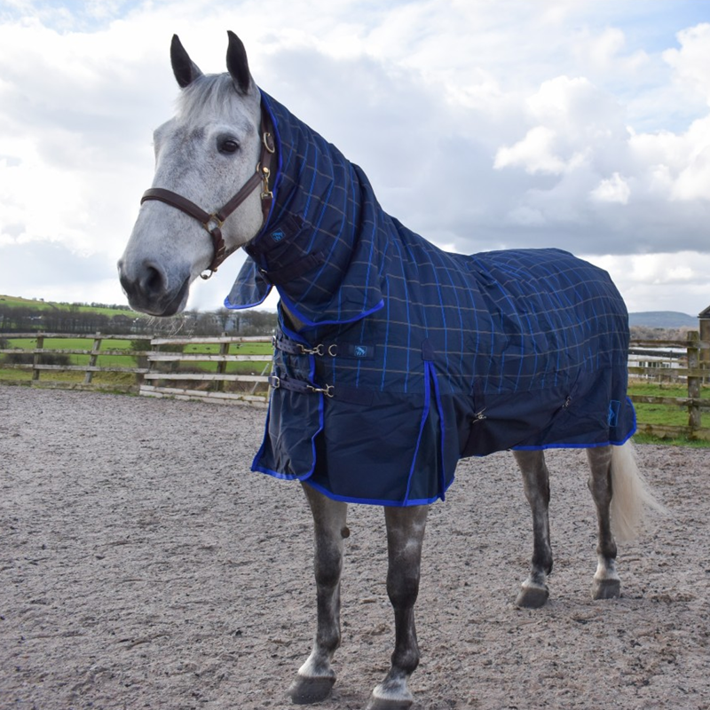 John Whitaker Noah 200g Combo Turnout Rug - Navy/Blue-2