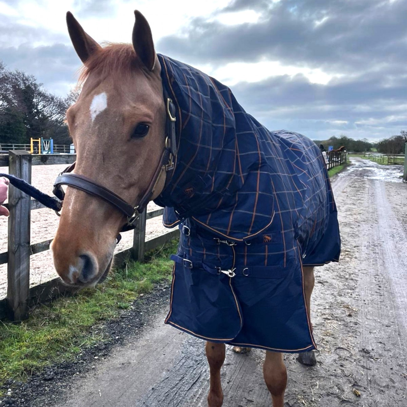 John Whitaker Noah 100g Combo Turnout Rug - Navy/Orange-1