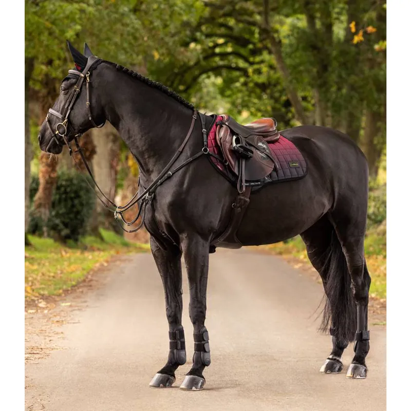 LeMieux Spectrum Close Contact Square - Mulberry-1