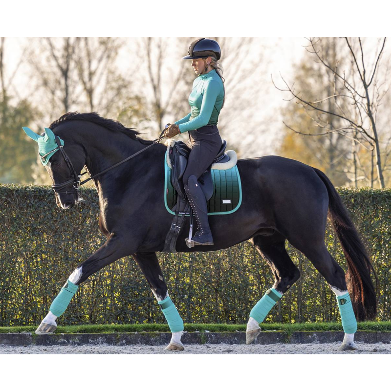 LeMieux Spectrum Fly Hood - Azure-3