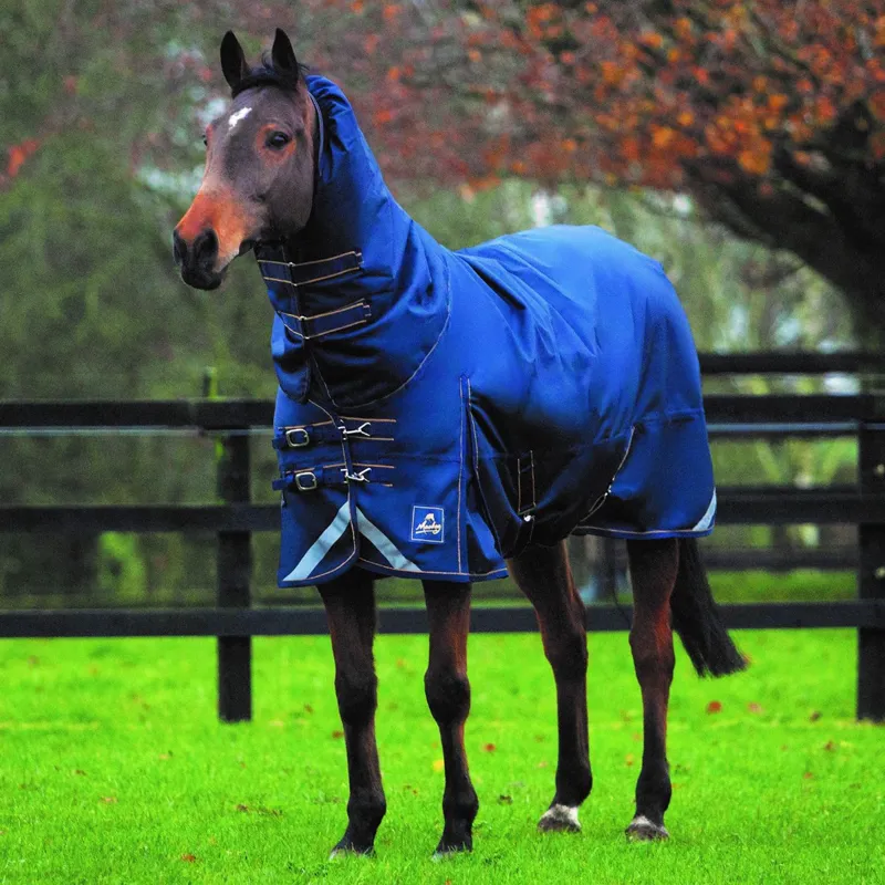 Mackey Wicklow 200g Mediumweight Turnout Rug - Navy/Gold