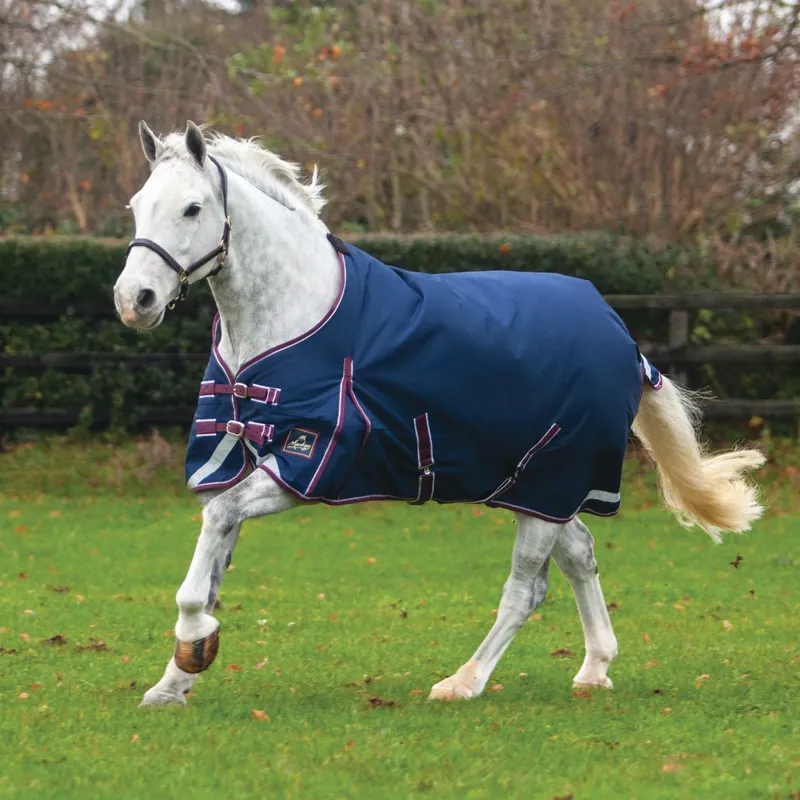 Keadeen Standard 250g Turnout Rug - Navy/Burgundy
