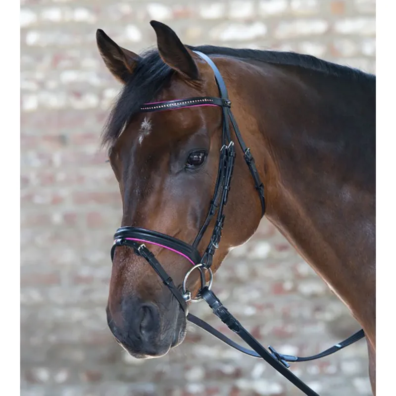 Waldhausen Star Diamond Bridle - Black/Pink